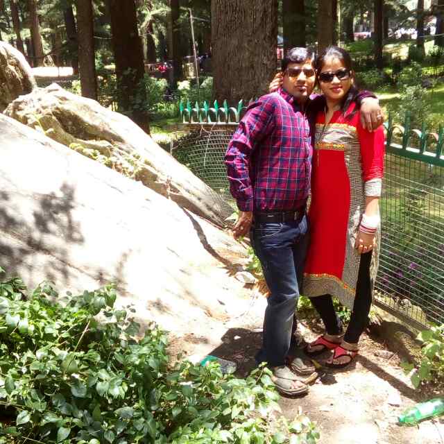 Volvo Package Of Shimla Manali
